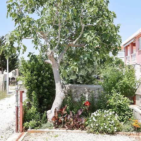 Danica Appartement *